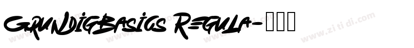 GrundigBasics Regula字体转换